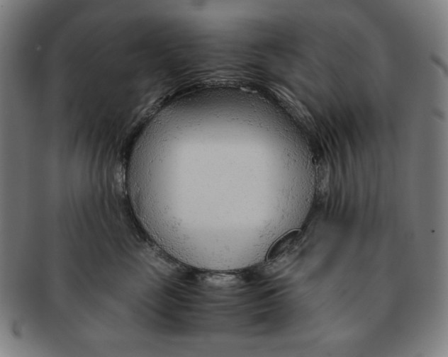 X0000090960669200708301204