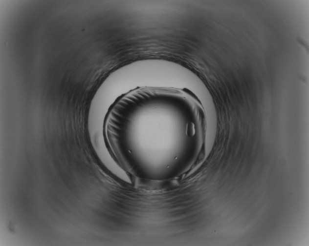 X0000090960670200708301204