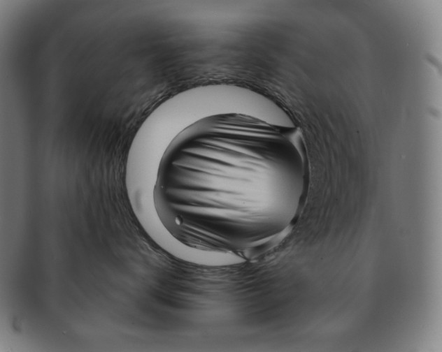 X0000090960672200708301204