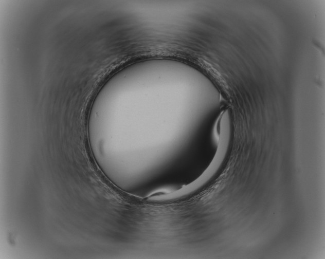 X0000090960673200708301203