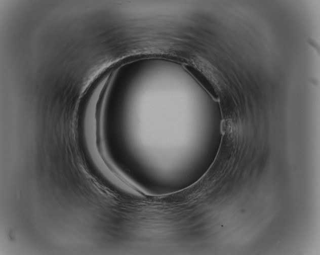 X0000090960676200708301203