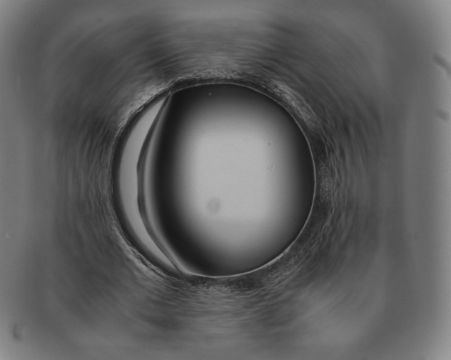 X0000090960677200708301203