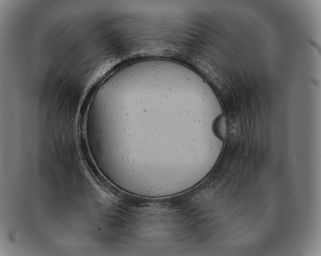 X0000090960678200708301203