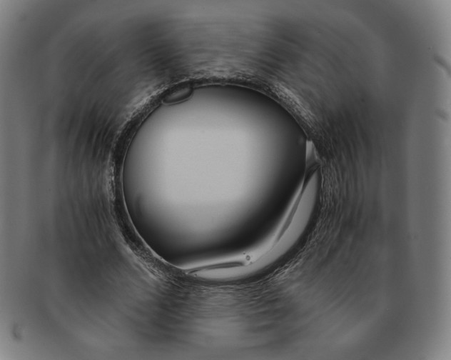 X0000090960680200708301203