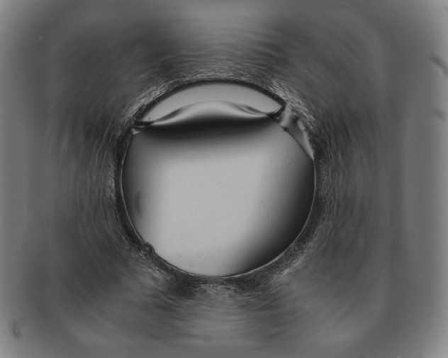 X0000090960681200708301203