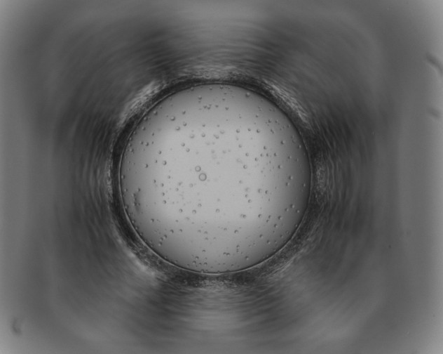 X0000090960682200708301203