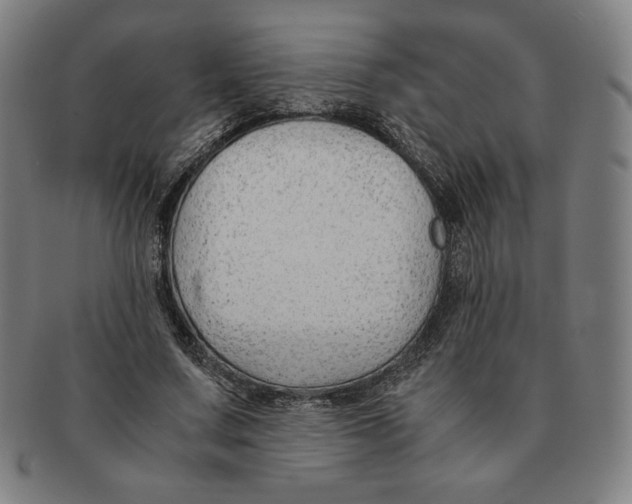 X0000090960683200708301203