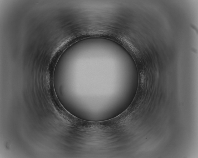 X0000090960684200708301203