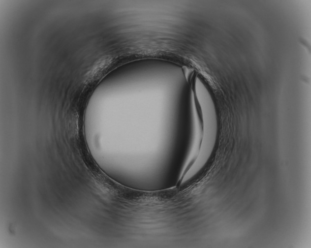 X0000090960685200708301203