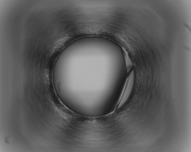 X0000090960688200708301203