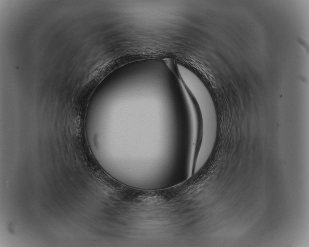 X0000090960689200708301203