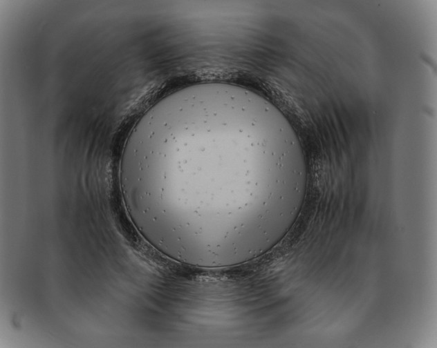 X0000090960690200708301203