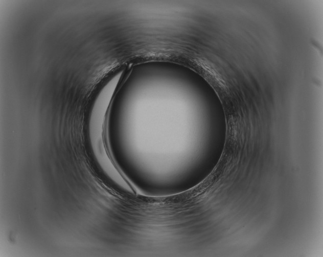 X0000090960692200708301203