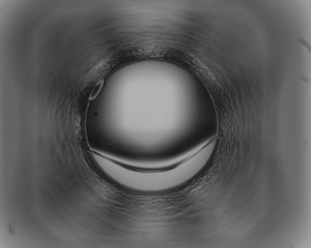 X0000090960693200708301203