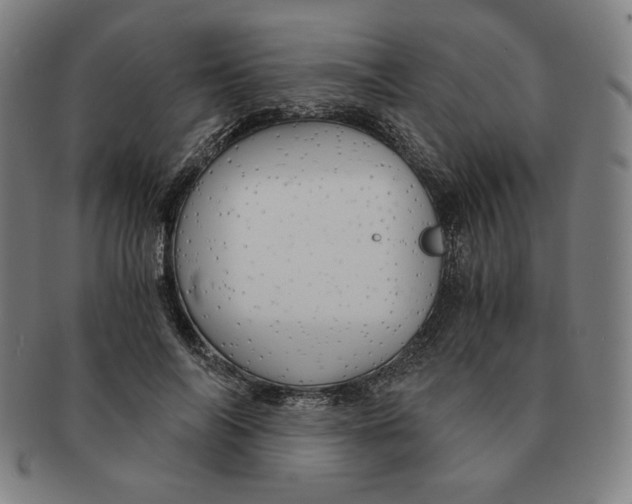 X0000090960694200708301203