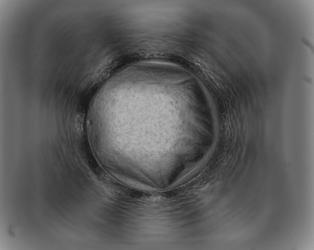 X0000090960695200708301203