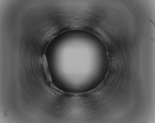 X0000090960696200708301203