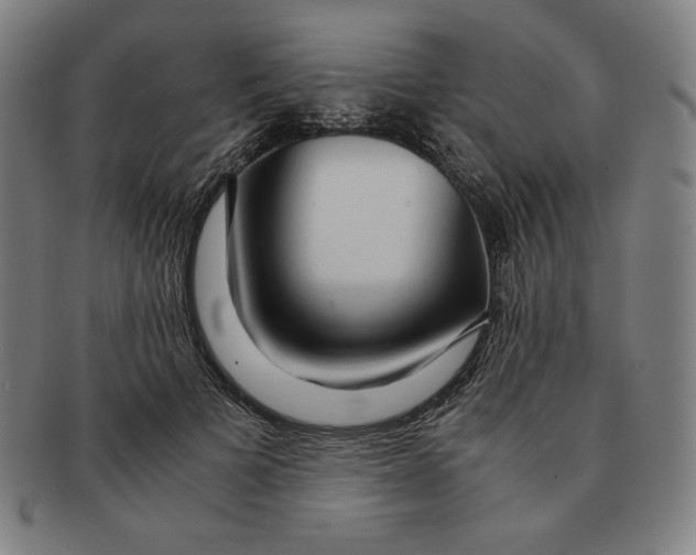 X0000090960697200708301203