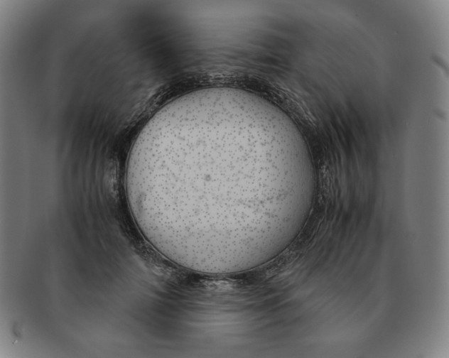 X0000090960698200708301203