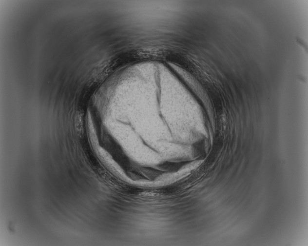 X0000090960699200708301203