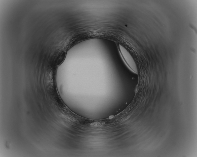 X0000090960700200708301203