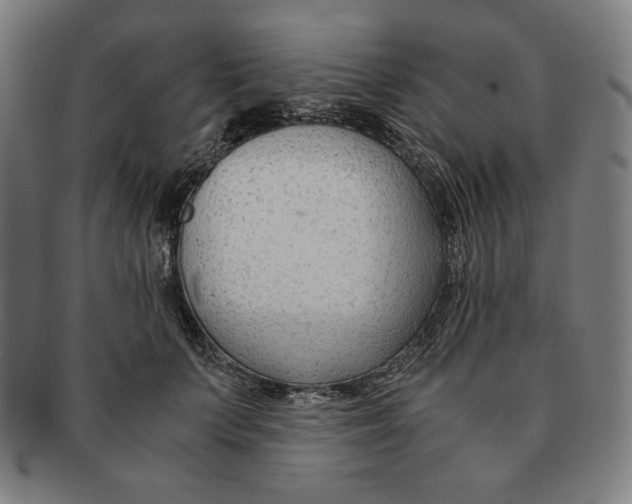 X0000090960703200708301203