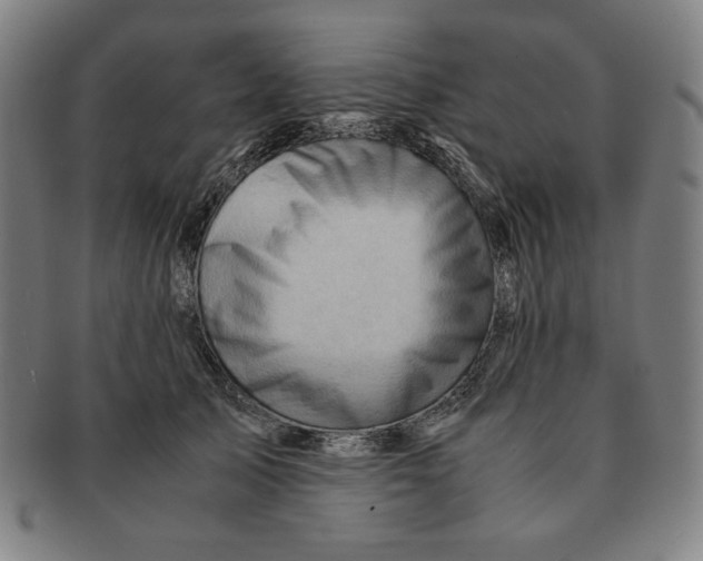 X0000090960705200708301203