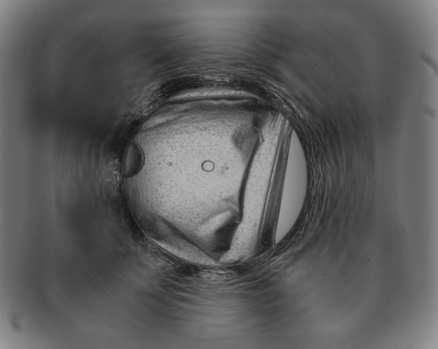 X0000090960707200708301203