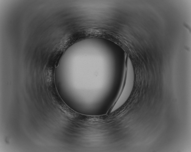 X0000090960708200708301203