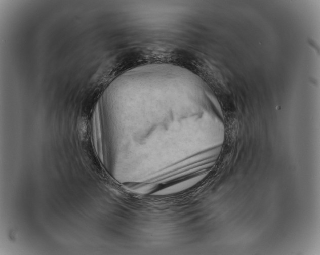 X0000090960709200708301203