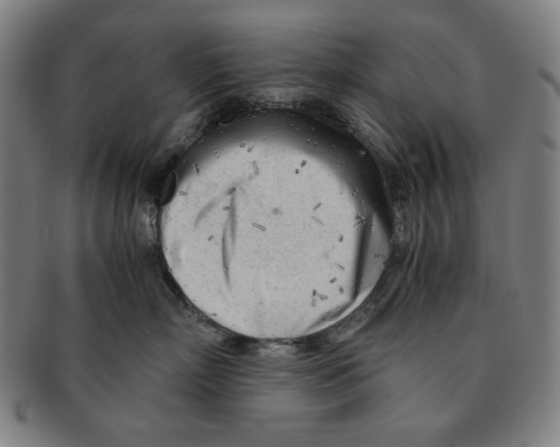 X0000090960718200708301203