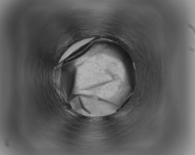 X0000090960720200708301203