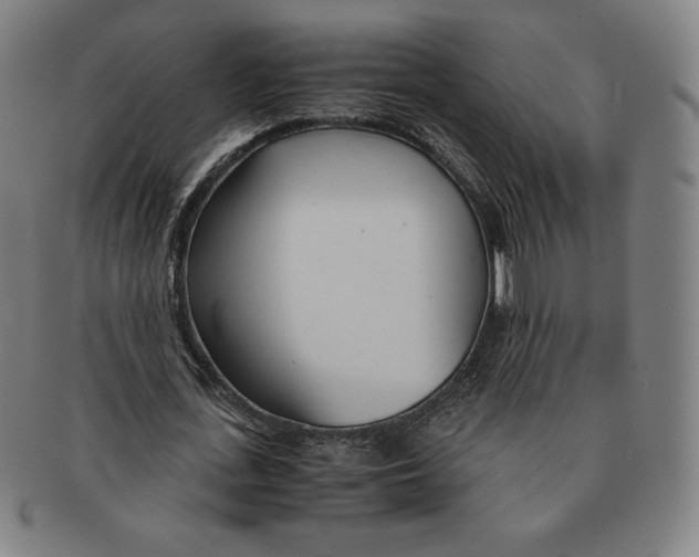 X0000090960723200708301202