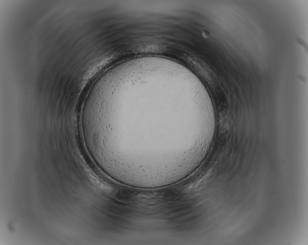 X0000090960725200708301202