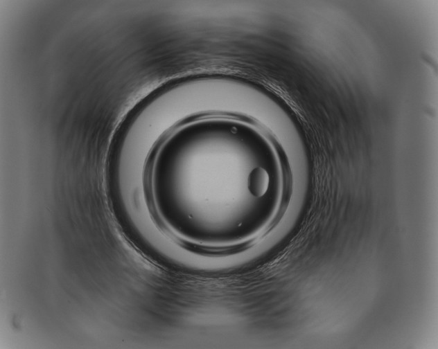 X0000090960726200708301202