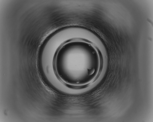 X0000090960728200708301202