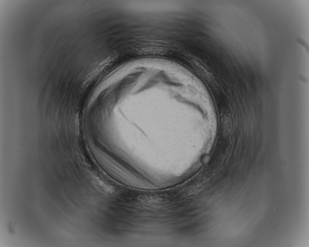 X0000090960729200708301202