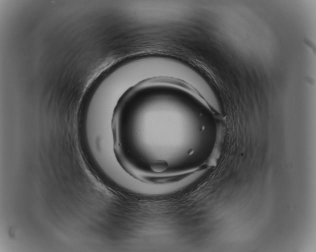 X0000090960730200708301202