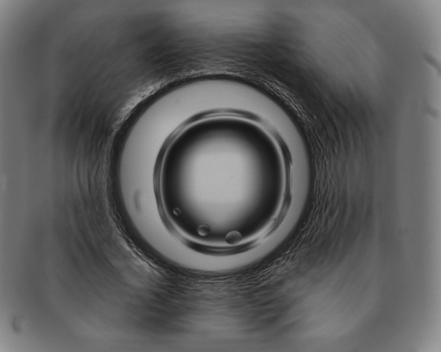 X0000090960732200708301202