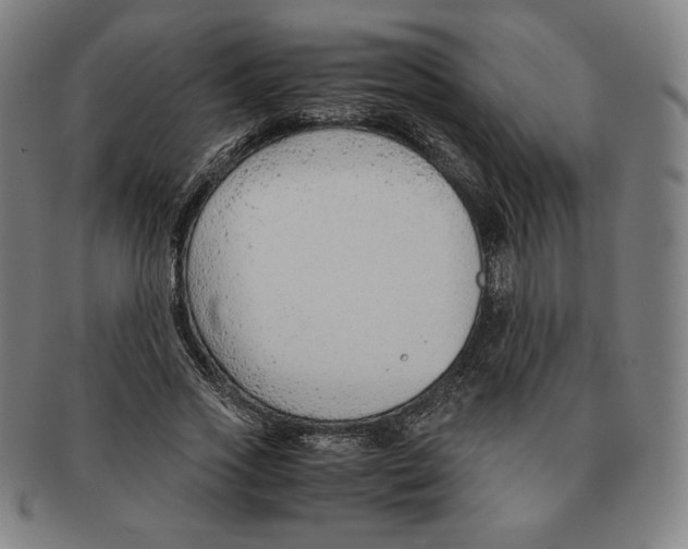 X0000090960733200708301202