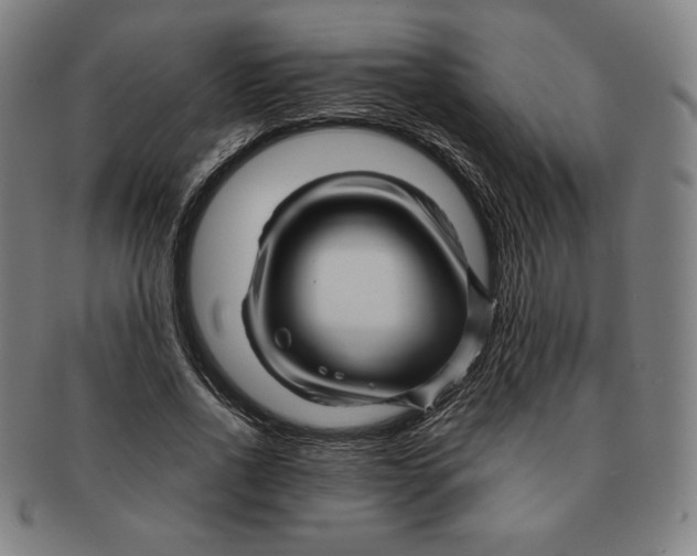 X0000090960734200708301202