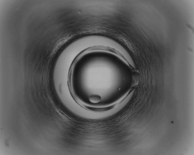 X0000090960736200708301202