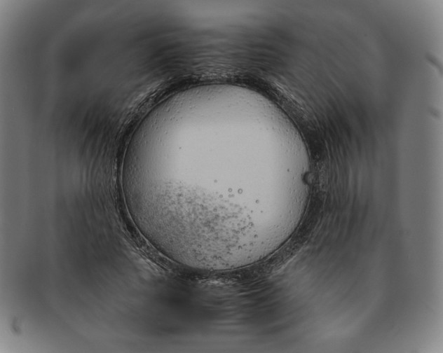 X0000090960737200708301202