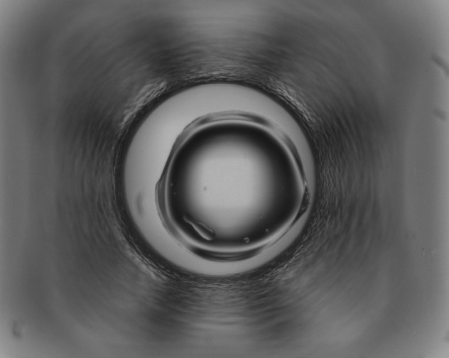 X0000090960738200708301202