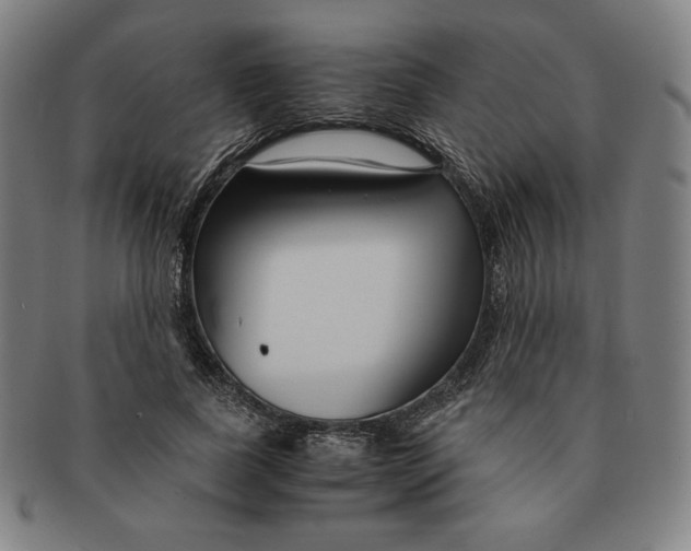 X0000090960739200708301202