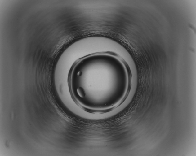 X0000090960742200708301202