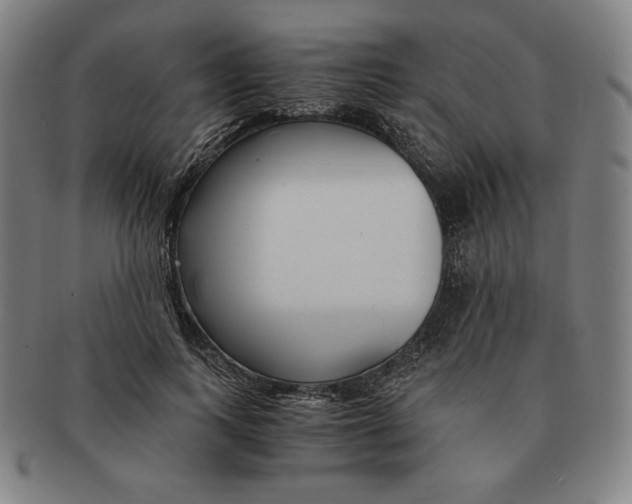 X0000090960743200708301202