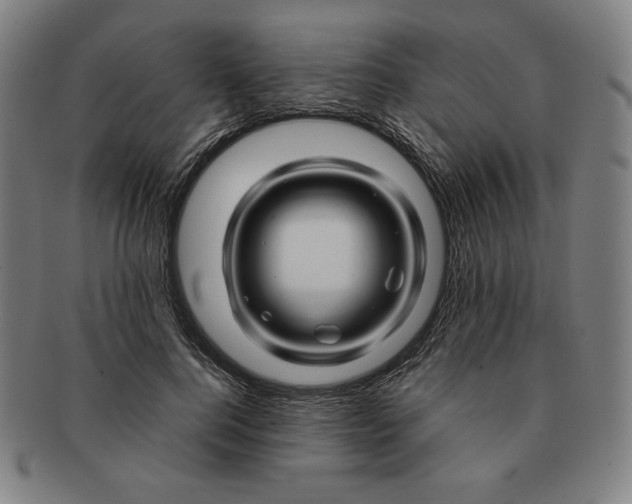 X0000090960744200708301202