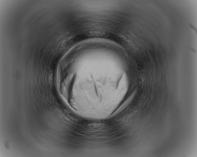 X0000090960745200708301202