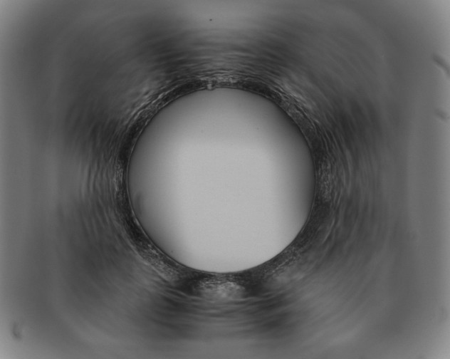 X0000090960747200708301202